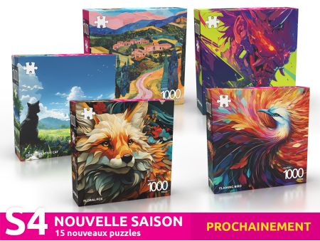 PACK DECOUVERTE SAISON 4 - 15 Puzzles