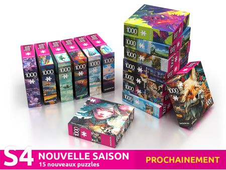 PACK DECOUVERTE SAISON 4 - 15 Puzzles