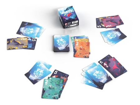 PACK SNORKELING 12+1