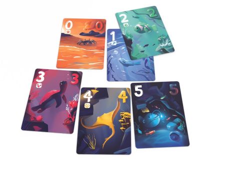 PACK SNORKELING 12+1