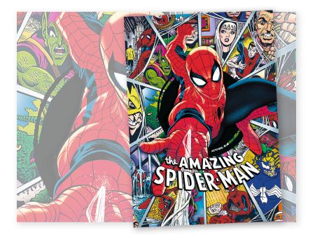 PUZZLE PREMIUM 1000 PIECES -  SPIDERMAN